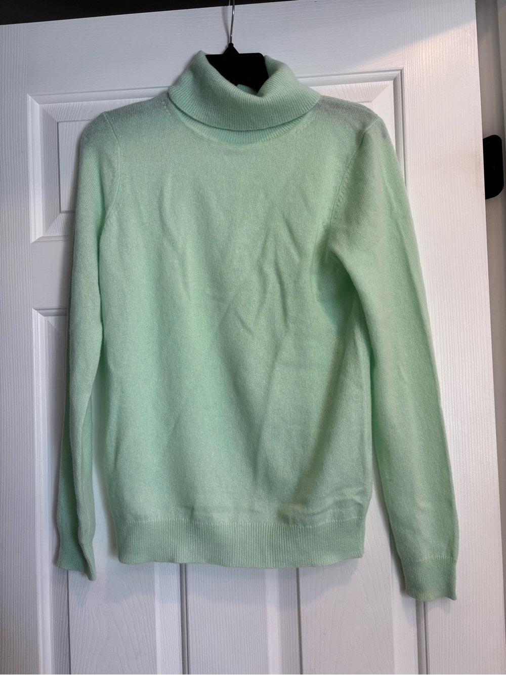 Charter Club Mint Green Turtleneck Sweater